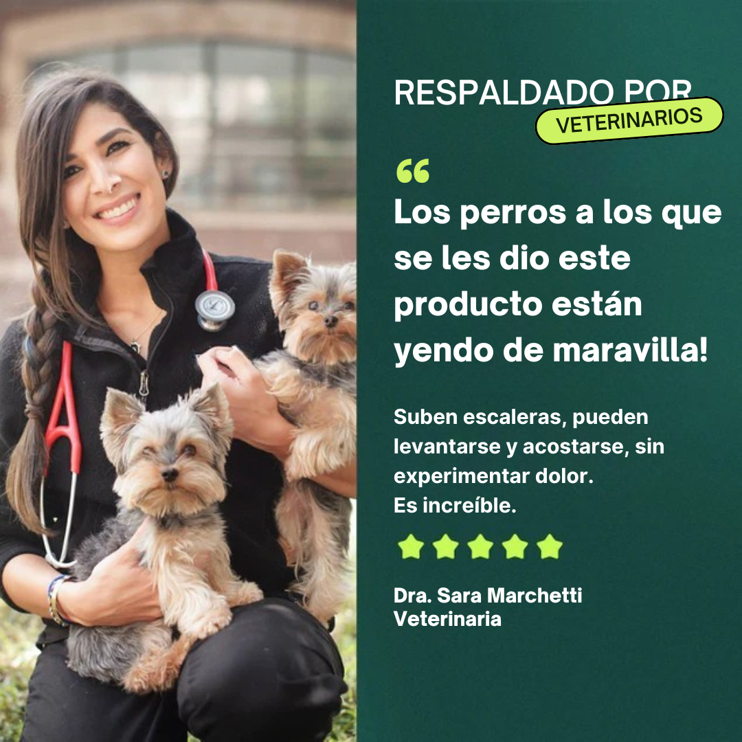 Combate el Dolor de Cadera & Articulaciones - Restaura la Movilidad y la Energía 🐾