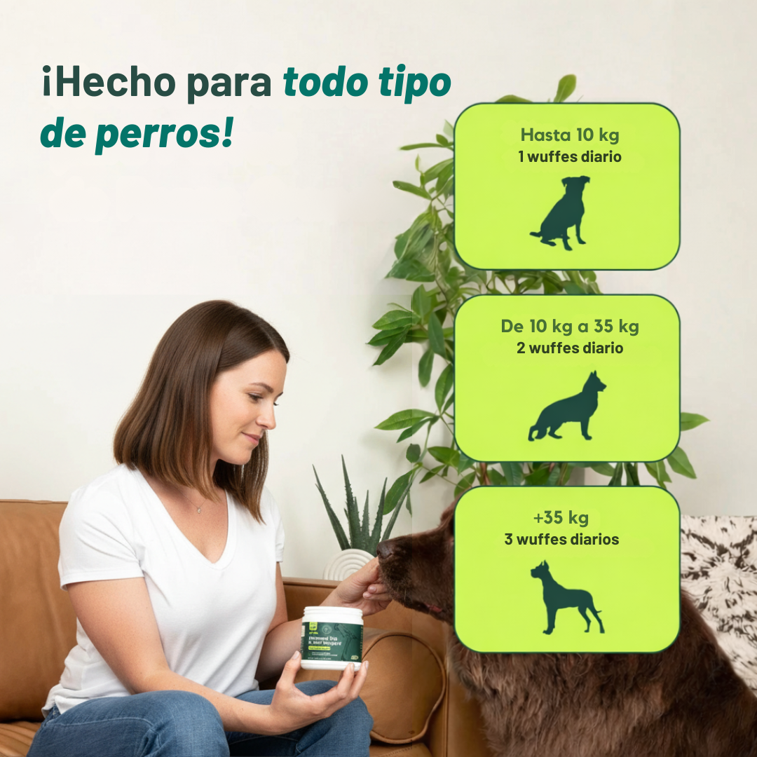 Combate el Dolor de Cadera & Articulaciones - Restaura la Movilidad y la Energía 🐾